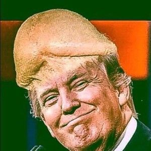 Meet your Posher, Vincent